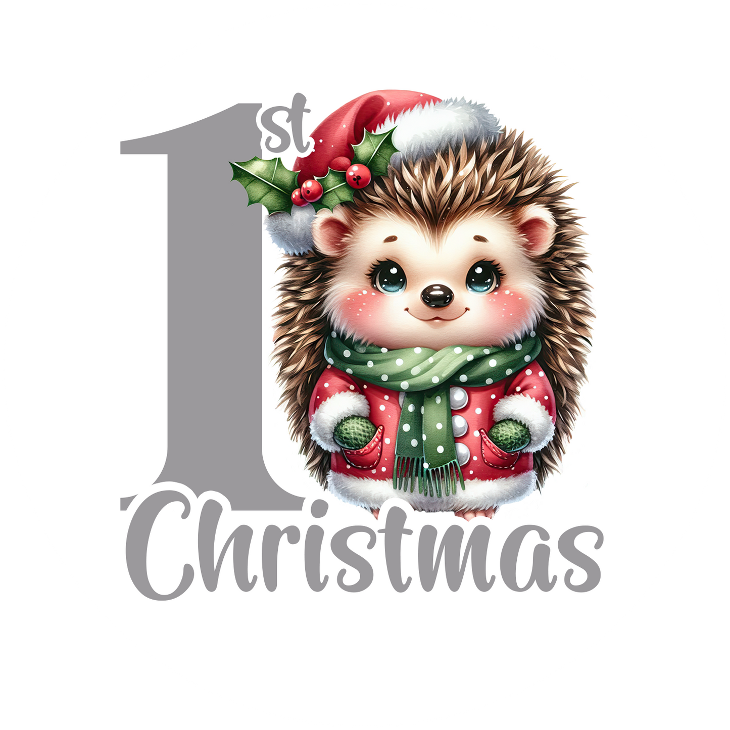 First Christmas Ornaments- Hedgehog