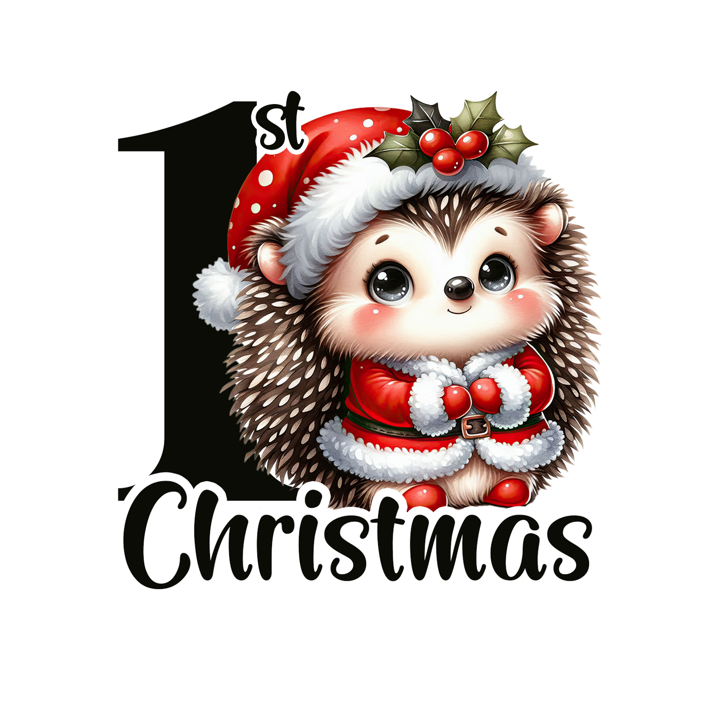 First Christmas Ornaments- Hedgehog