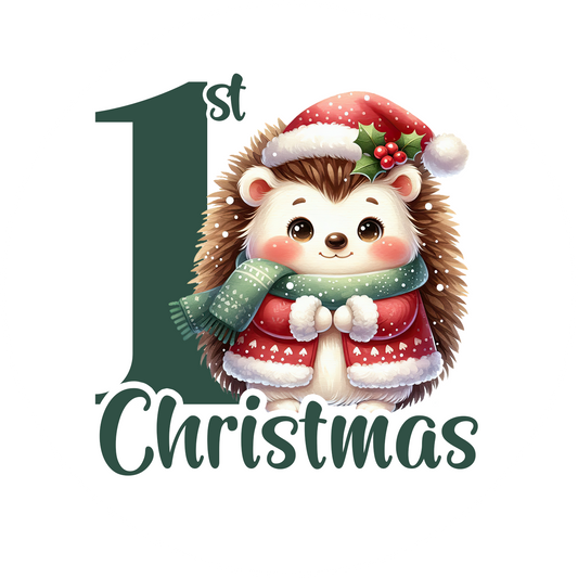 First Christmas Ornaments- Hedgehog