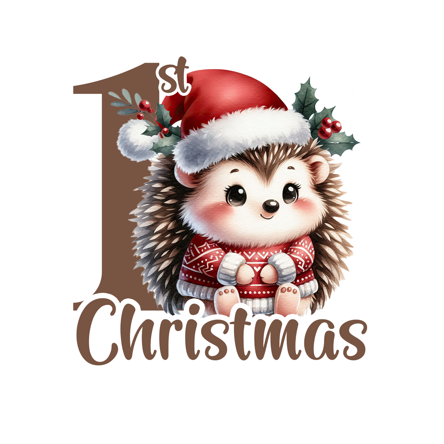 First Christmas Ornaments- Hedgehog